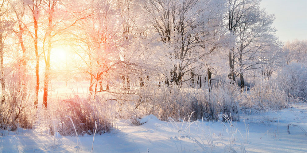 Year 2017 winter image